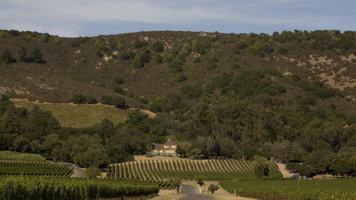 Sonoma's Gundlach Bundschu, founded 1858, files Chapter 11